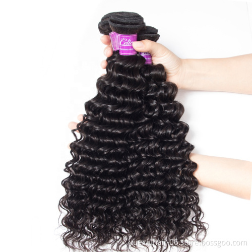 10A Unprocessed Raw Virgin Remy Human Hair Extension Braiding Hair Bboss Deep Wave Curly Human Hair Bundles with Closure